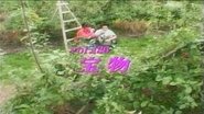 Episode 136