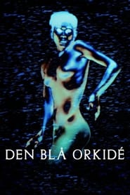 Den blå orkidé (2020)