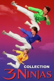 Ninja Kids : Les 3 Ninjas - Saga en streaming