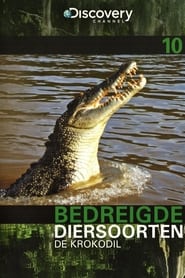 Bedreigde Diersoorten 10: De Krokodil