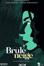 Poster Brûlé neige