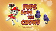 Pups Save the Crows