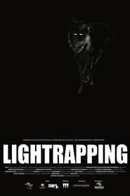 Lightrapping streaming