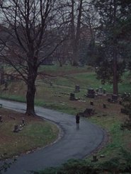 Poster The Funeral 2016