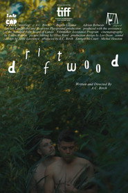 Driftwood