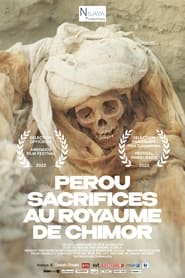 Pérou - Sacrifices au royaume de Chimor streaming