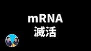 Episode 285
