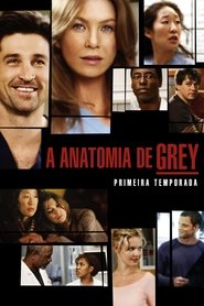 Grey's Anatomy - Season 1 Episode 1 : A Hard Day's Night