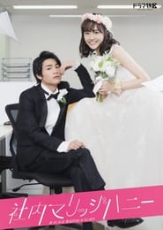 Download In House Marriage Honey (Season 1) Japanese TV Series {Hindi Dubbed} 720p WeB-HD [170MB]