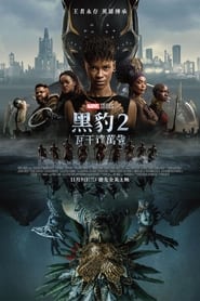 黑豹2 (2022)