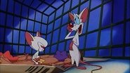 Pinky & The Fog