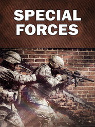 Modern Warfare: Special Forces 2015
