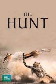 The Hunt (2019)