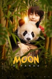 Pôster de Moon The Panda
