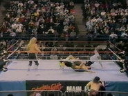 November 19, 1988 - Superstars of Wrestling 116