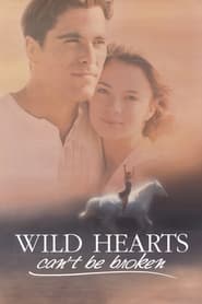Poster Wild Hearts Can't Be Broken 1991