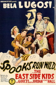 Spooks Run Wild