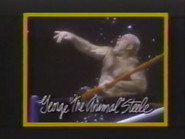 June 20, 1987 - Superstars of Wrestling 42