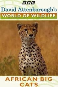 Poster World of Wildlife: African Big Cats