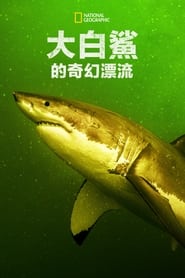 大白鲨的奇幻漂流 (2023)