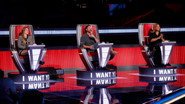 The Blind Auditions (3)