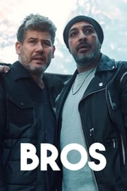 Download Bros Season 1 Dual Audio (English-Hebrew) Msubs Web-Dl 720p [300MB] || 1080p [800MB]