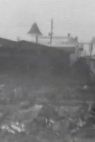 The Great Fire Ruins, Coney Island