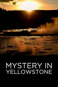 Poster Mystery in Yellowstone 2015