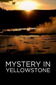 Poster Mystery in Yellowstone 2015