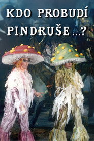 Kdo probud&iacute; Pindru&scaron;e...? (1989)