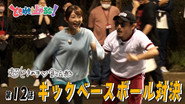 Afsnit 12