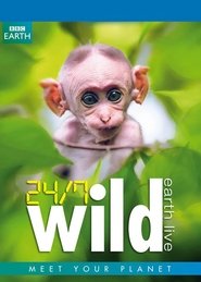 MongoDB.Entities.FuzzyString