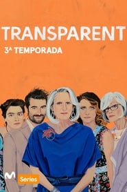 Transparent Temporada 3 Capitulo 8