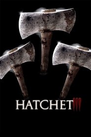 Poster Hatchet III 2013