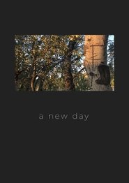 Poster A New Day 2017