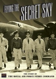 Poster Flying The Secret Sky 2008