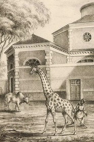 La Nuit tombe sur la ménagerie