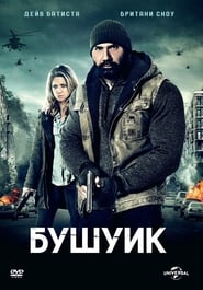 Бушуик (2017)