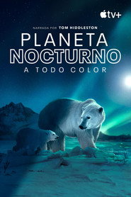 Planeta nocturno: A todo color