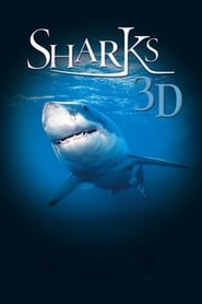 Sharks 3D постер