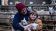 Lambs, Crops and Chicken Pox
