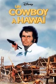 Un cowboy à Hawaï streaming