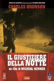 Il giustiziere della notte