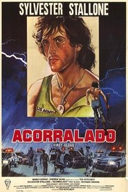 Acorralado poster