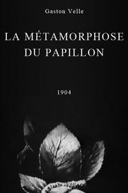Poster Metamorphosis of a Butterfly 1904