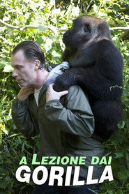 Gorilla School постер