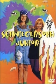 Poster Schwiegersohn Junior
