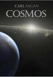 Cosmos: A Personal Voyage poster