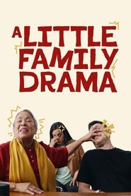 A Little Family Drama (2025)