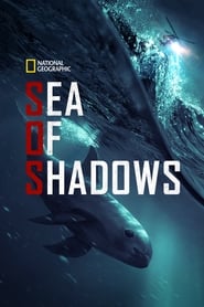 Sea of Shadows (2019) poster